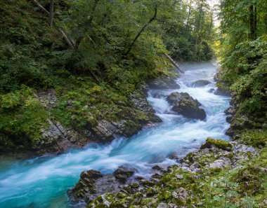 Ormandaki kayalık nehrin panoramik görüntüsü