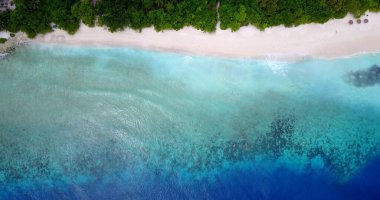 Güneşli bir yaz gününde ağaçlı güzel bir sahil manzarası.