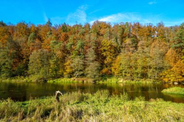 Sonbaharda göl kenarındaki bir nehrin manzaralı bir görüntüsü.