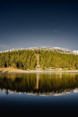 İsviçre, Grisonlar yakınlarındaki Caumasee Gölü 'nde doğanın dikey bir fotoğrafı.