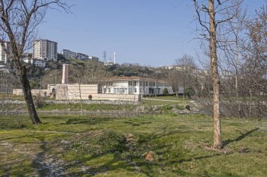 İstanbul 'da arka planında açık gökyüzü olan yeşil çimenli ve ağaçlı bir park