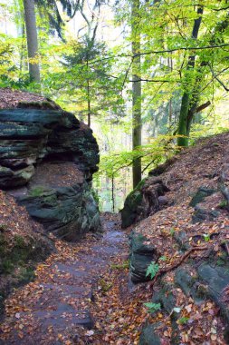 Mullerthal, G.H. 'deki bir ormanda kayaların arasında bir yol. Lüksemburg