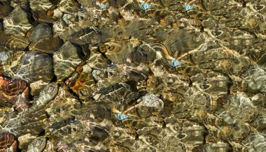 Renkli soyut ve modern renklere ve ince desenlere sahip arkaplan