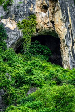 Prahuap Kiri Khan, Tayland 'daki Sam Roi Yot Ulusal Parkı' ndaki Dağ Ormanı Mağarası.
