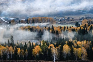 Sabahın erken saatlerinde sisle kaplı sonbahar sık ormanında akan nehrin hava görüntüsü.