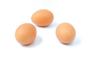 Beyaz arka planı olan bir tavuk yumurtası stoku.