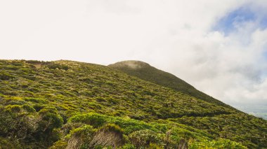 Yeni Zelanda 'daki ünlü Taranaki Dağı' nın güzel bir manzarası.