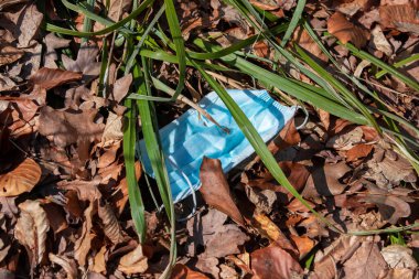 Doğada terk edilmiş koruyucu bir maskenin fotoğrafı.