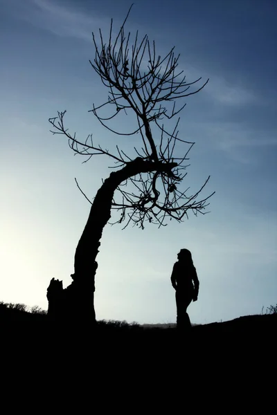 Gökyüzünün Arka Planında Yapraksız Bir Ağacın Yanında Duran Bir Kadının — Stok fotoğraf