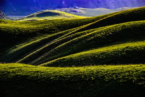 カラヤン 新疆の草原の空気草原と呼ばれています — ストック写真