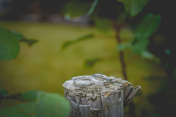 Bir Odun Parçasına Seçici Bir Nişan Yüzüğü Resmi — Stok fotoğraf