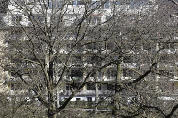 ブレーメンの冬を背景に住宅のアパートの建物と多くの裸の木 — ストック写真