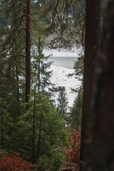 Una Foto Vertical Árboles Lago Caumasee Cerca Flims Los Grisones —  Fotos de Stock