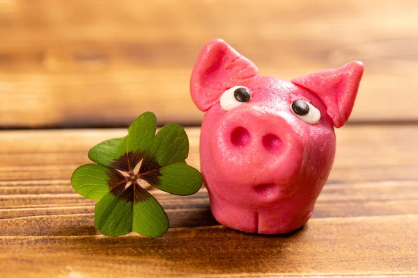 Eine Nahaufnahme Eines Grünen Shamrock Mit Einem Glücksschwein Auf Einem — Stockfoto