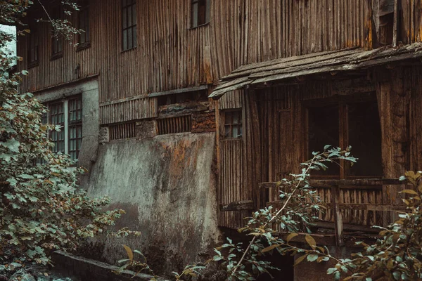 Ein Blick Auf Das Verlassene Holzhaus Und Die Pflanzen Vordergrund — Stockfoto