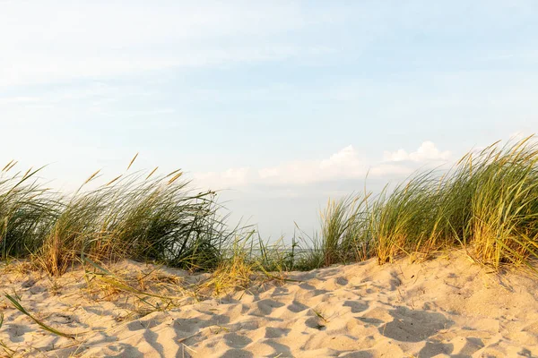 Ein Sonniger Sandstrand Mit Wachsendem Gras Wind — Stockfoto