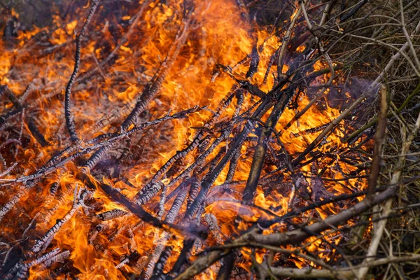 Plan Morceaux Bois Branches Qui Brûlent — Photo