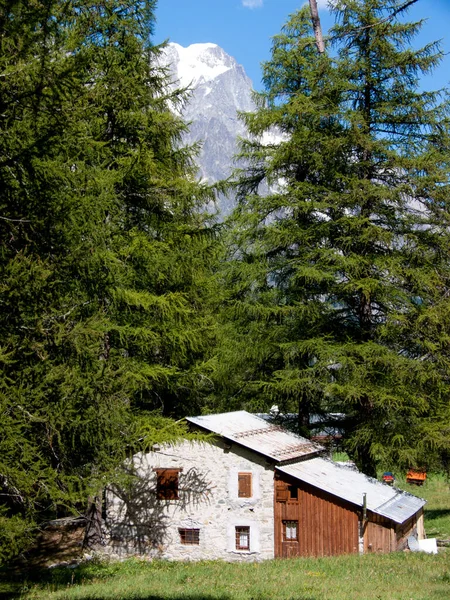 Eine Vertikale Aufnahme Eines Kleinen Holzhauses Wald — Stockfoto