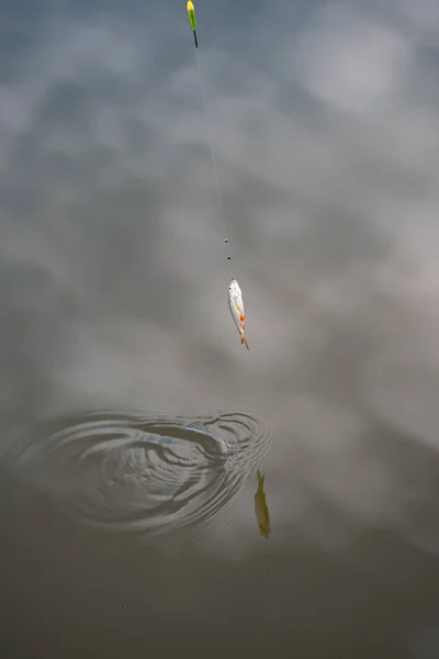 Vertical Closeup Shot Fishing Rod Bait Lake — Stock Photo, Image