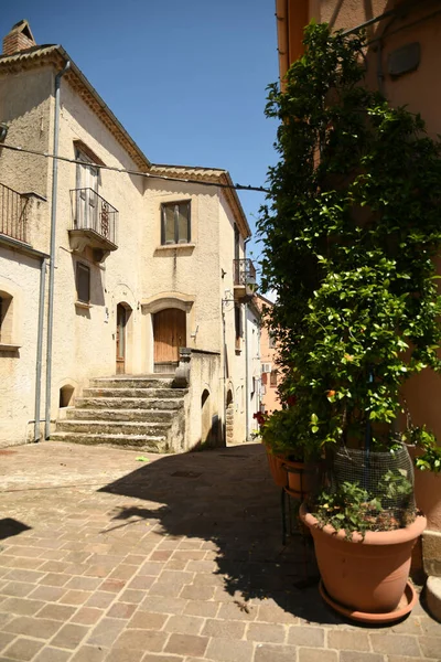 イタリア バジリカータ地方のサン フェレ村の植物と狭い通りに家の階段 — ストック写真