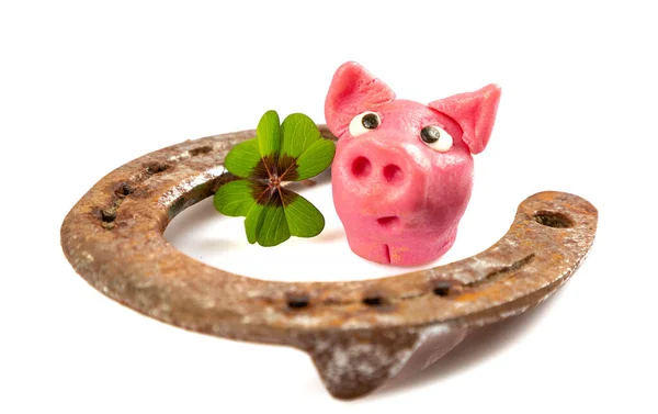 Ein Glücksschwein Mit Hufeisen Und Grünem Klee Auf Weißem Hintergrund — Stockfoto