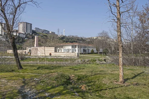 Park Zieloną Trawą Drzewami Budynkami Czystym Niebie Tle Stambule — Zdjęcie stockowe