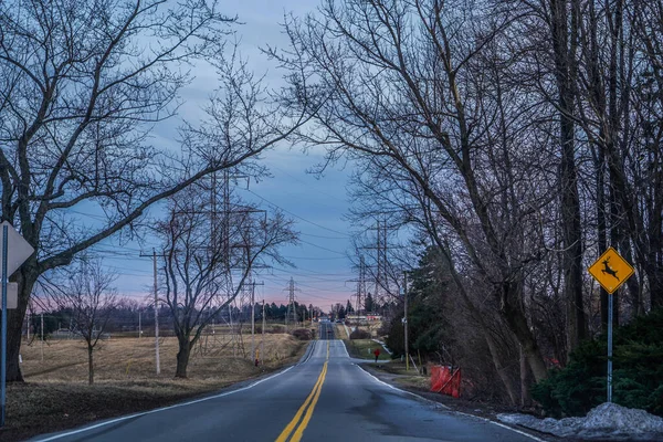 View Empty Road Stretching Fields Early Spring Dry Trees Both — Stock Photo, Image