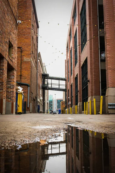 Denver Şehir Merkezindeki Küçük Bir Birikintisinin Yakın Çekim Görüntüsü Gündüz — Stok fotoğraf