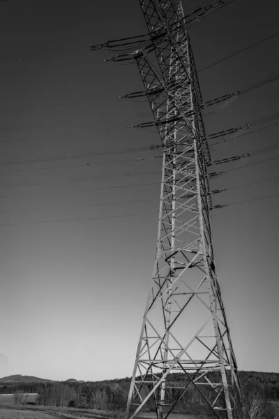 Disparo Vertical Una Línea Energía Eléctrica Campo —  Fotos de Stock