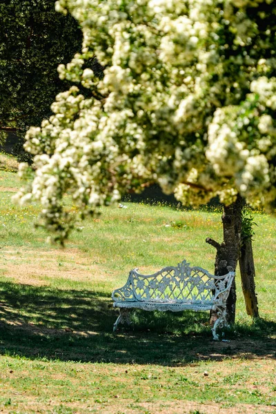 Güneşli Bir Günde Ağaçların Altında Çiçekli Beyaz Bir Metal Bankın — Stok fotoğraf