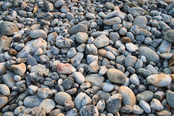 Eine Nahaufnahme Von Kieselsteinen Hintergrund — Stockfoto