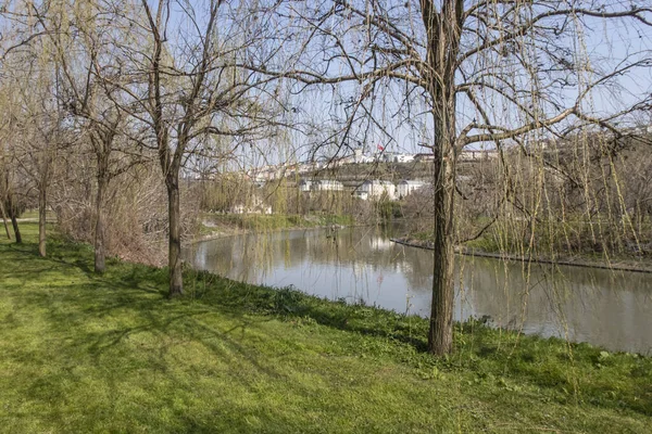 Small River Next Park Istanbul Turkey Bright Sunlight — Stock Photo, Image