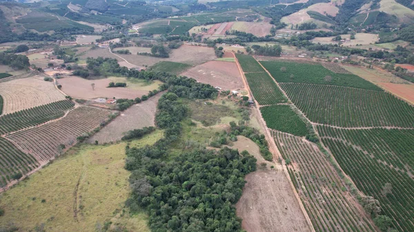 Una Toma Aérea Una Tierra Plantación Con Árboles Colinas — Foto de Stock
