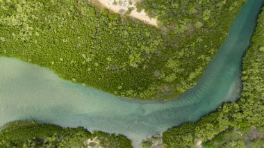Yeşil bir manzaranın ortasındaki güzel bir nehrin havadan görünüşü.