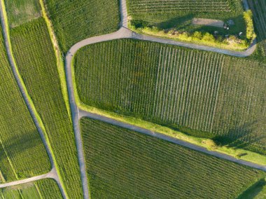 Kırsaldaki yeşil bir alanın havadan görünüşü - arka plan ve grafik tasarım için harika.