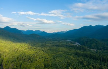 Ağustos 2021 'de Rainier Dağı yakınlarındaki Washington eyaleti Cascade dağ sırasının panoramik görüntüsü.