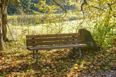 Parlak güneş ışığı altında sonbahar yaprakları ve sonbahar ağaçlarıyla çevrili ahşap bir park bankı.