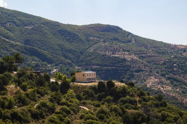 Güneşli bir günde güzel dağların ve ormanın havadan çekilmiş görüntüsü.