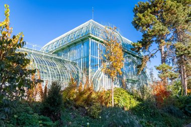 Renkli bitkilerle çevrili cam sera.