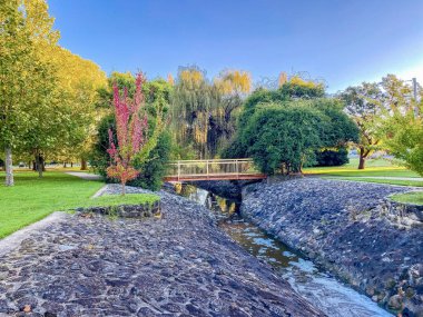 Avustralya 'da Glen Innes' in sonbahar ağaçlarıyla birlikte parkta akan bir dere.