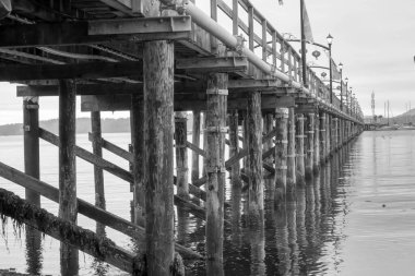 Ahşap bir iskelenin gri pulu