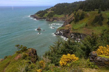 Ufukta bitki örtüsü, okyanus ve mavi gökyüzü olan bir kıyı şeridi manzarası