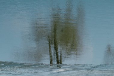 Karlı bir tarlada bulanık bir ağaç