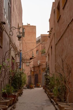 Saksılarda ve antik binalarda bitkilerin bulunduğu eski dar bir yolun dikey görüntüsü.