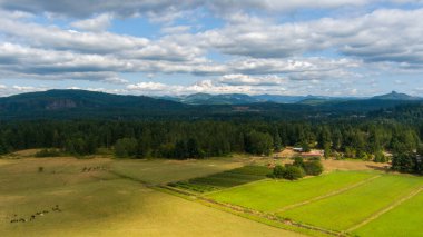 Washington 'daki Rainier Dağı' nın bulutlu bir ağustos gününde manzarası