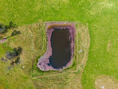 Wellington Vale, Avustralya 'nın kırsal kesimindeki bir su birikintisinin hava görüntüsü.