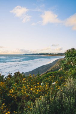 Ngarunui Sahili, Raglan, Yeni Zelanda 'da kayalıklarda ve deniz manzaralı alacakaranlık gökyüzüne karşı güzel bir manzara.
