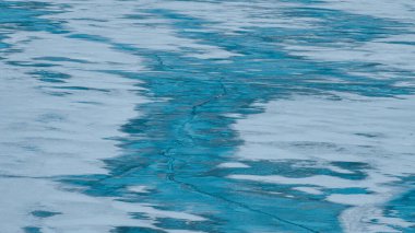 Harbin, Çin 'deki deniz dalgalarının güzel bir manzarası.