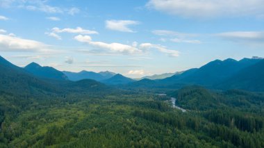 Yazın Rainier Dağı yakınlarındaki Washington eyaletinin Cascade dağ sırasının manzarası.