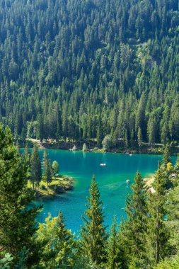 Caumasee Gölü yakınlarındaki ağaçların ve doğanın fotoğrafı.